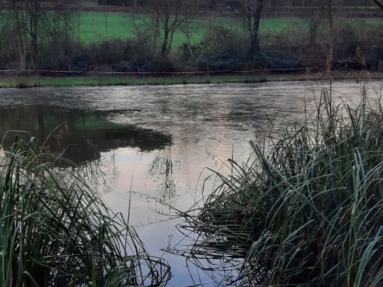 Hengelsportvereniging Vaals '68-2