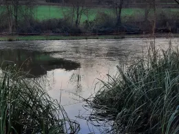 Hengelsportvereniging Vaals '68-2