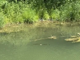 Loisach-Isar-Kanal-1