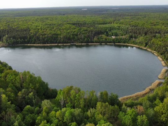 Kleinsee (Jänschwalde)-1
