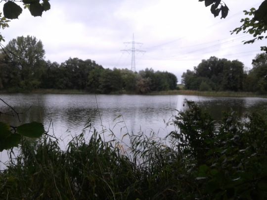 Hofsee (Satow) angeln