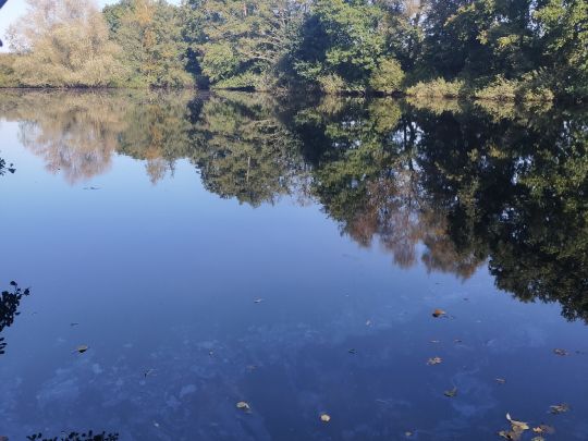 Biotop Sillenstede-1