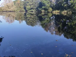 Biotop Sillenstede-1