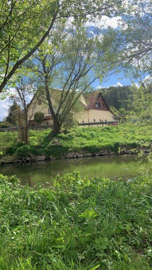 Werra (Schwallungen)-1