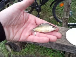 Krankenhaussee (Nauen)-1