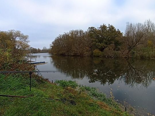 Saalealtarm Hohenweiden-1