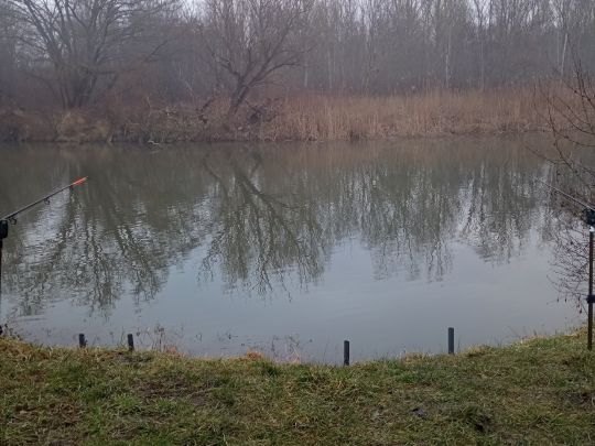 Saalealtarm Hohenweiden