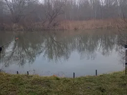 Saalealtarm Hohenweiden