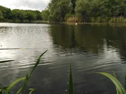 Saalealtarm Stollen Wettin