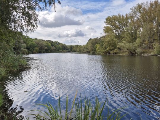 Saalealtarm Stollen Wettin-3