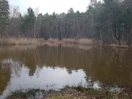 Schweinegrube Skaska