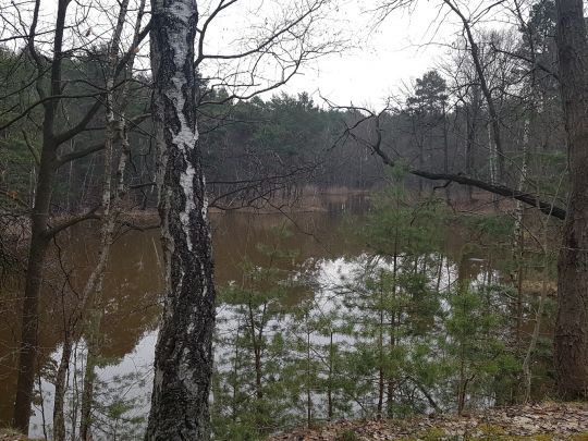 Schweinegrube Skaska-1