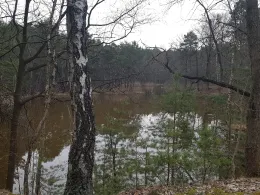 Schweinegrube Skaska-1