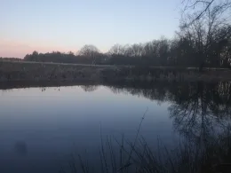 Karauschenteich Groß Krams-1