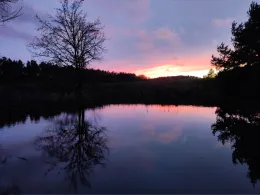 Karauschenteich Groß Krams-2