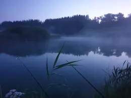 Alz (Seeon-Seebruck)-2