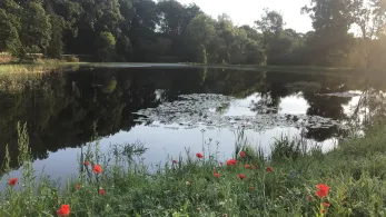 Angelpark Pfeffer (Wallersdorf)