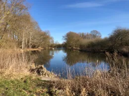 Stau am Graben (Neu Farpen)-1