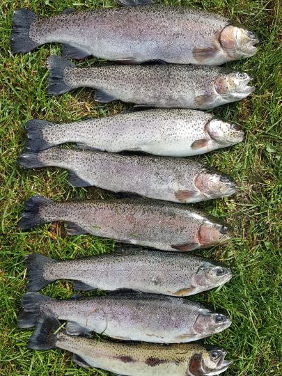 Anglerparadies Wittgenstein-1