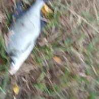 Kleiner Briesen (Milmersdorf)