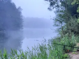 Heidesee (Hachheide)-2