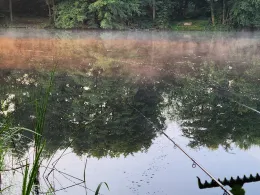 Heidesee (Hachheide)-1