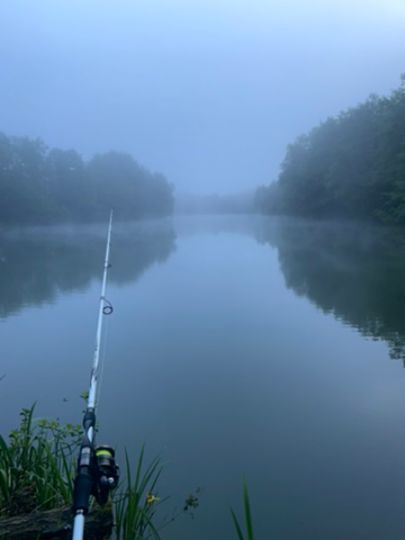 Heidesee (Hachheide)-3