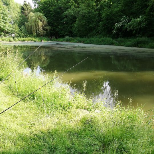 Stipps Teich (Gruiten)