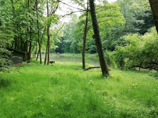 Stipps Teich (Gruiten)-1