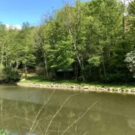 Stipps Teich (Gruiten)-2