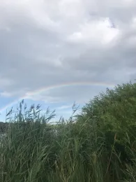 Большой Ставок