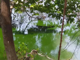 Rhein (Bingen/Rhein)-4