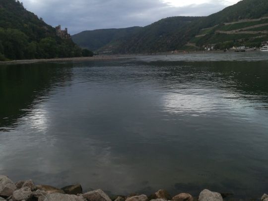 Rhein (Bingen/Rhein)-3