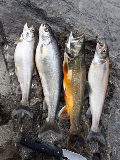 Jagst (Crailsheim)-1