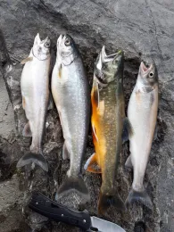 Jagst (Crailsheim)-1