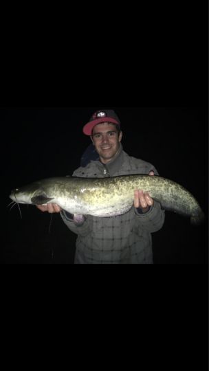 Main (Elsenfeld/Obernburg)-3