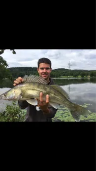 Main (Elsenfeld/Obernburg)-1