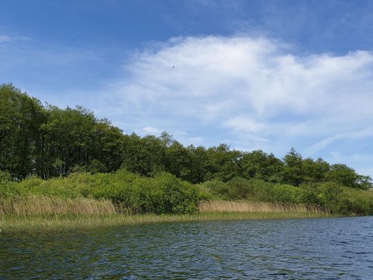 Kronsee (Wahlstorf)-2