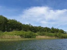 Kronsee (Wahlstorf)-2