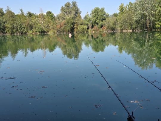 Petriweiher (Königsbrunn)-3