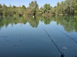 Petriweiher (Königsbrunn)-3