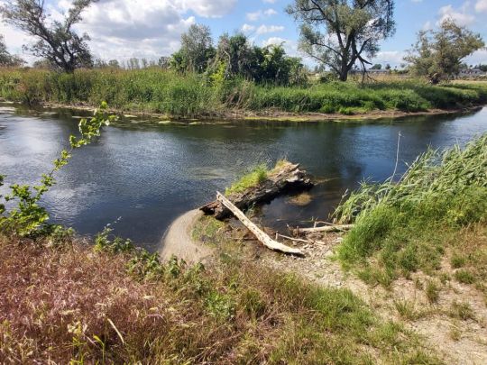 Bode (Nienburg/Saale)-4