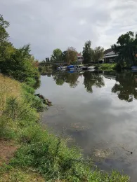 Bode (Nienburg/Saale)