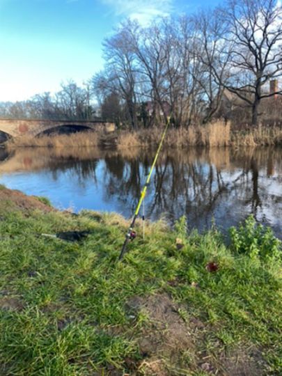 Bode (Nienburg/Saale)-2