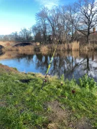 Bode (Nienburg/Saale)-2