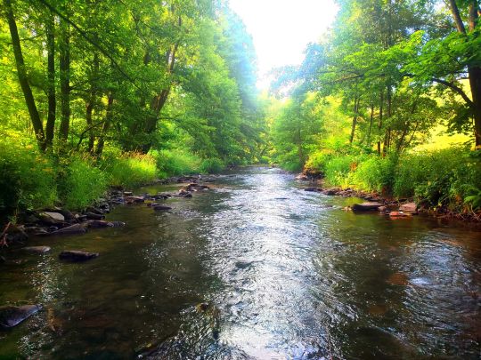 Freiberger Mulde (Weißenborn/Erzgebirge)-2