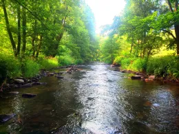 Freiberger Mulde (Weißenborn/Erzgebirge)-2