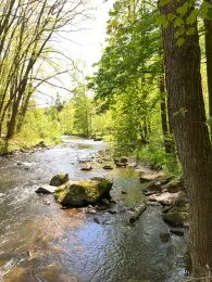 Freiberger Mulde (Weißenborn/Erzgebirge)