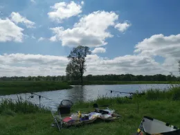 Pfaffensee (Steckby)