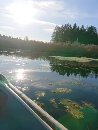 Eschenauer See (Eggstätt)